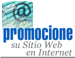 Publique su sitio web en Internet